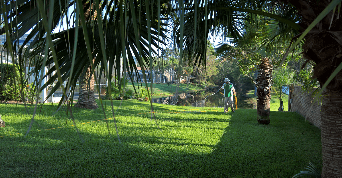 Modern Lawn Spraying is Hybrid of Organic and Conventional Methods