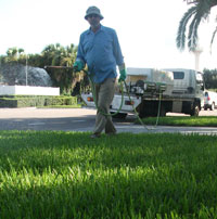 Lawn Spraying is not Polluting