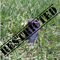 How Does SWFWMD Save Potable Water by Restricting Lawn Irrigation With Well Water?