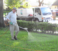 The Magic is in the Mix