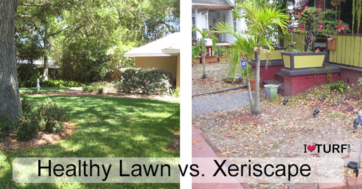 Healthy Lawn next to a Xeriscape Landscape