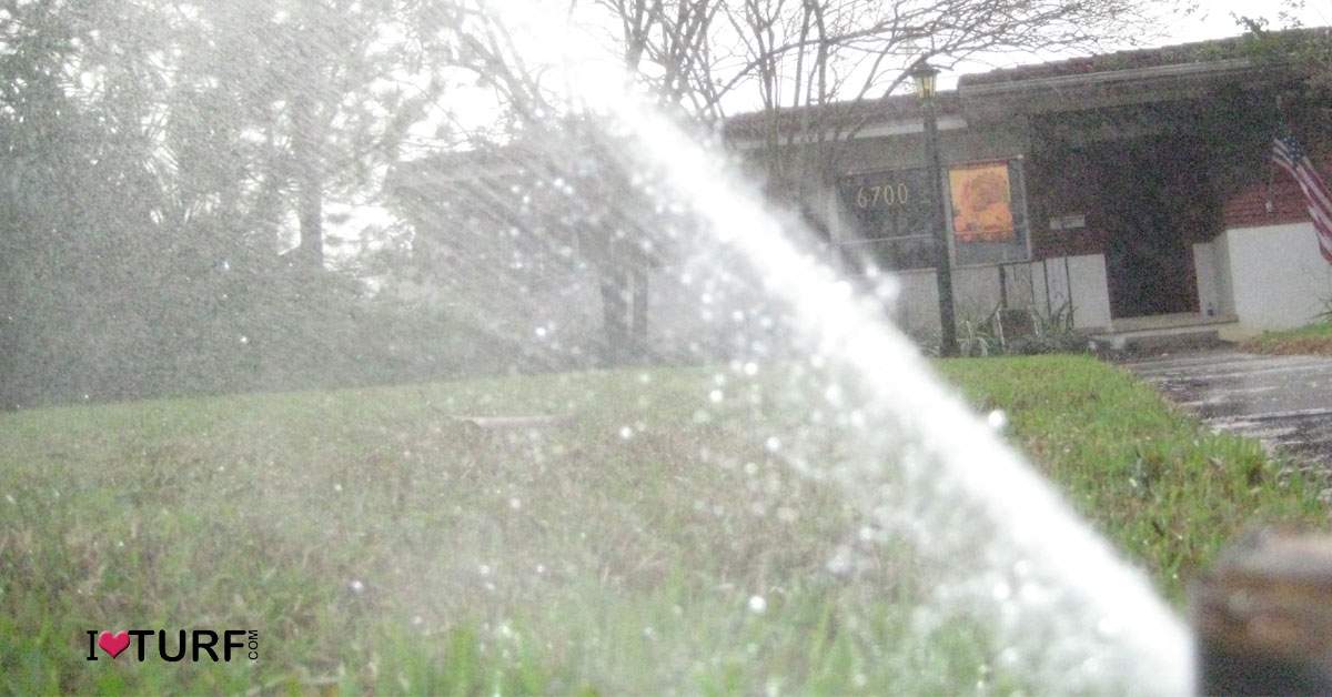A sprinkler head watering a lawn