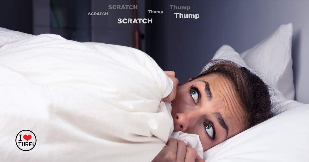 Women laying in bed hearing noises in the attic