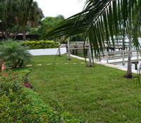 Planting a Lawn with St Augustine Sod