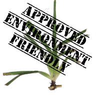 St Augustine Grass is the Best for You and the Environment