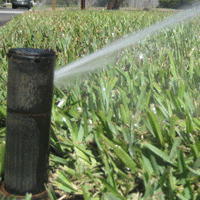 Why Irrigation is Necessary for a Healthy St Augustine Lawn