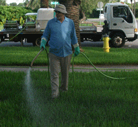 What is Lawn Spraying and How Does it Work