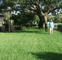 Lawn Spraying is a Value Added Service