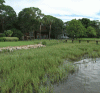 Florida Department of Environmental Protection Proves St Augustine Lawns are Good for the Environment