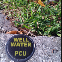 Soil and Water: Why Irrigation is Mandatory in Pinellas